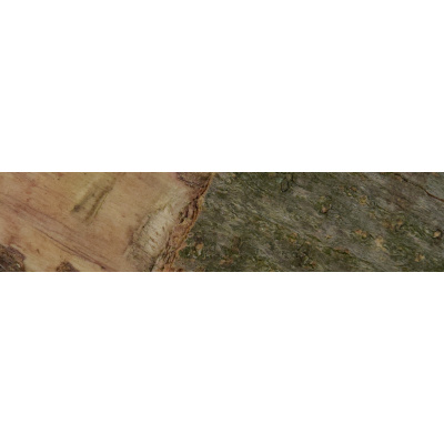 Holzscheibe Baumscheibe Rund lang schmal zuschnitt