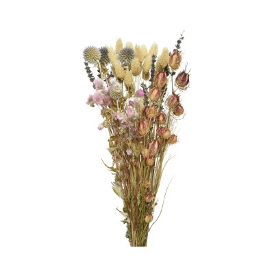 CHICCIE Blumen - Natur Blume Trockenblumen Deko Dekoration