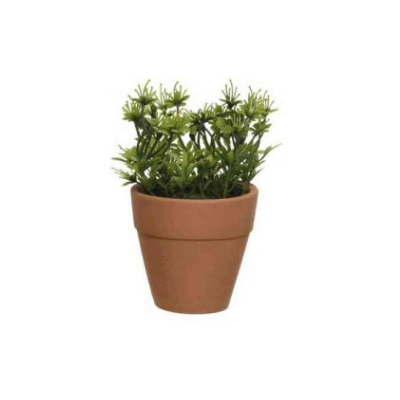 CHICCIE Kunstpflanze im Topf Gr&uuml;n 10cm - Pflanze Kunstblume Blume Deko