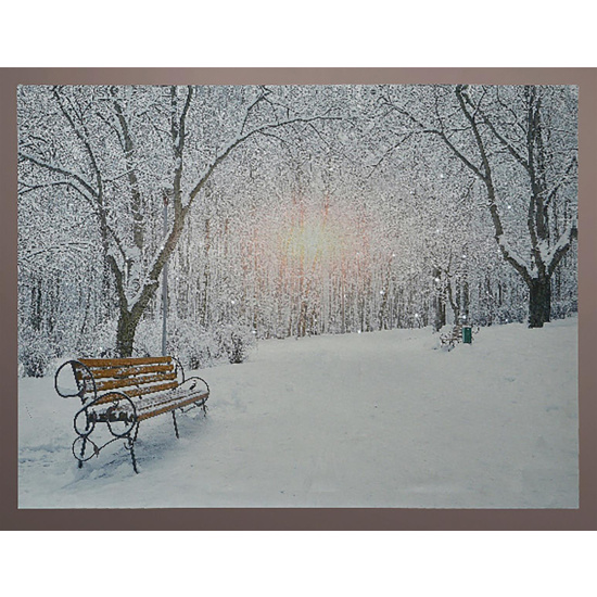 LED Leinwand Wintermotiv Bank 2x58x78cm Weihnachtsdeko...