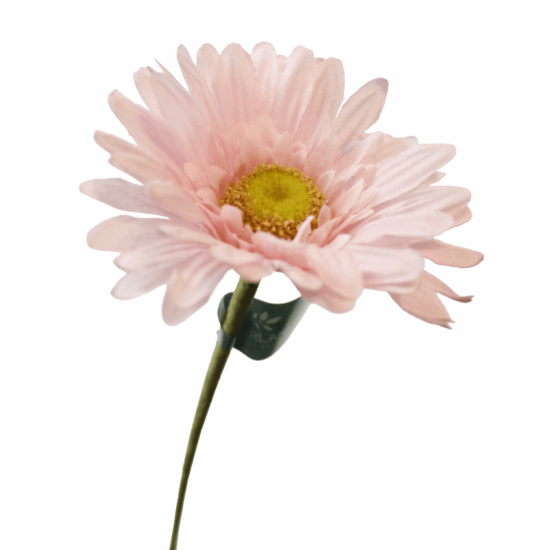 K&uuml;nstliche Gerbera Blume hell rosa mit stiel 50cm...