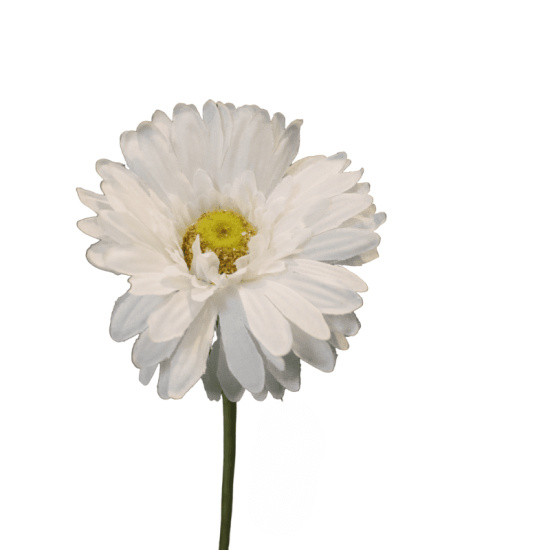 K&uuml;nstliche Gerbera Blume Wei&szlig; 50cm lang Vasenblume