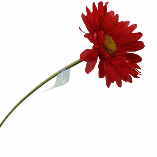 K&uuml;nstliche Gerbera Blume rot mit stiel 55cm lang...