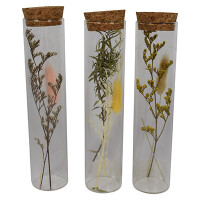 Trockenblumen im Korkenglas Rosa 3.5x3.5x16cm Fr&uuml;hling Tischdeko