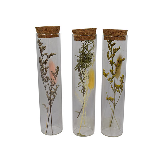Trockenblumen im Korkenglas Gr&uuml;n 3.5x3.5x16cm Fr&uuml;hling Tischdeko