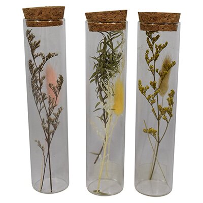 CHICCIE Trockenblumen im Glas versch. Varianten und Gr&ouml;&szlig;en - Fr&uuml;hling Tischdeko