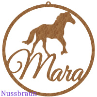 personalisiertes Namensschild 30cm T&uuml;rschild mit Pferd Kinderzimmerdeko
