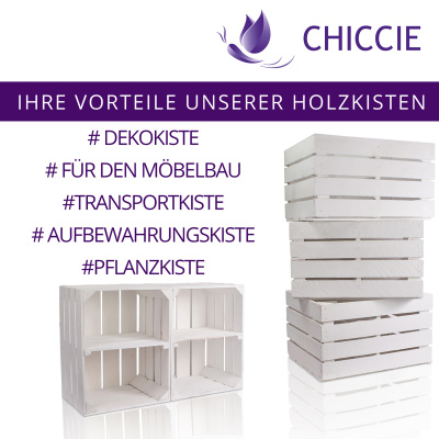 Vintage Holzkiste Wei&szlig; 50x40x30cm Langes Regal Schuhregal Weinkisten Obstkisten Holzkisten