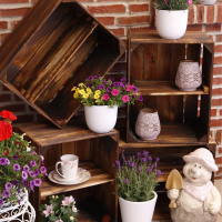 Holzkiste im Vintage Look geflammt dunkel lange Ablage Obstkiste Kiste
