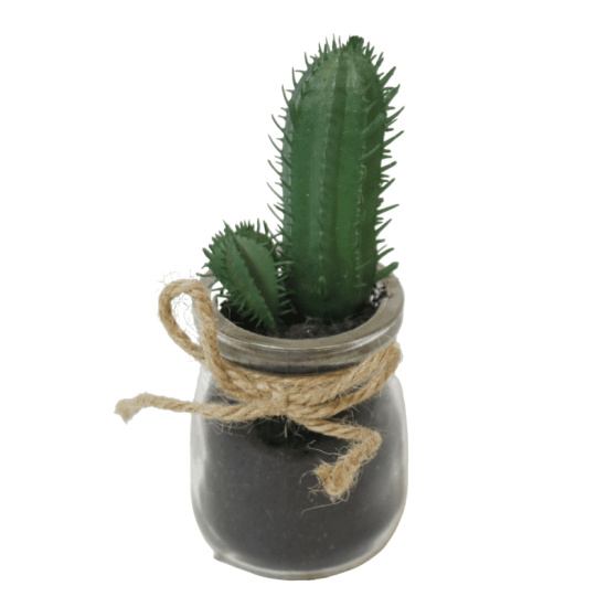 K&uuml;nstliche Kaktus im glas klein 14cm hoch