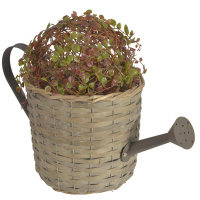 Pflanzenkorb Gie&szlig;kanne Grau Aus Rattan 21cm Mit Einsatz Pflanzschale Pflanztopf Blumentopf Pflanzenst&auml;nder