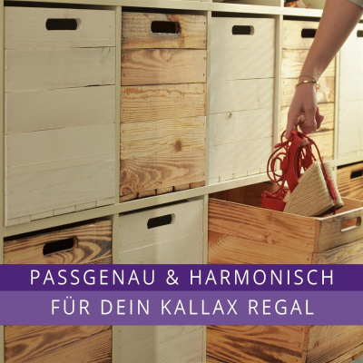 Kallax Holzkiste Karl Aufbewahrungsbox Geflammt 33x38x33cm Aufbewahrungskorb Schubladenbox Holzbox Holz Regal Box