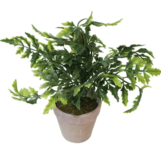 Knstliche Farn Pflanze im lila stein topf klein 19cm hoch Deko Blume